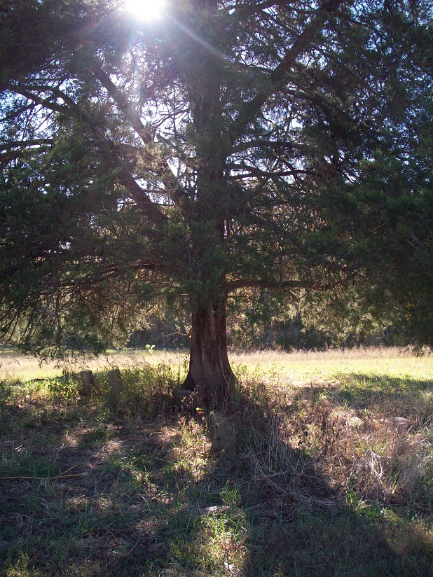 Soldier’s Burial Plot