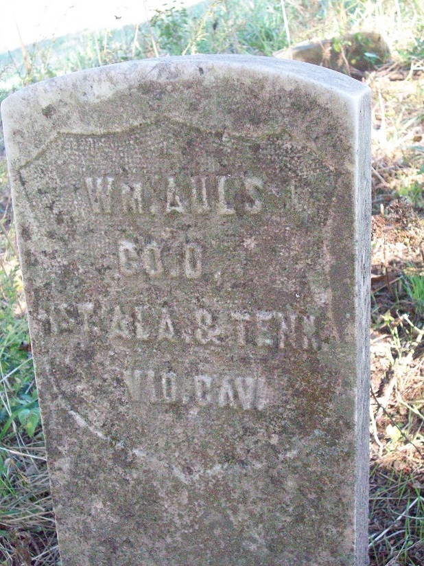 Wm. Auls, CO. D. 1st ALA & TENN VID. CAV.